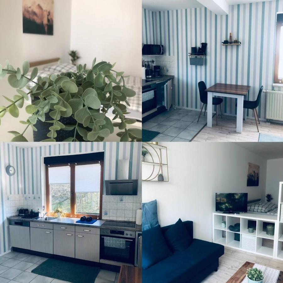 Ferienwohnung Shakira Penig Exterior photo